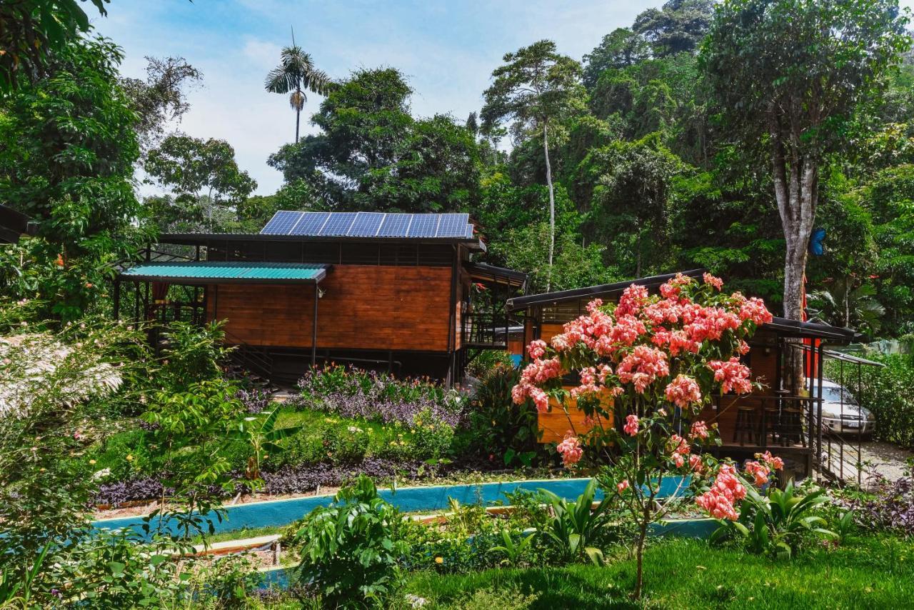 Апарт отель Selva Madre Eco-Sanctuary Кауита Экстерьер фото