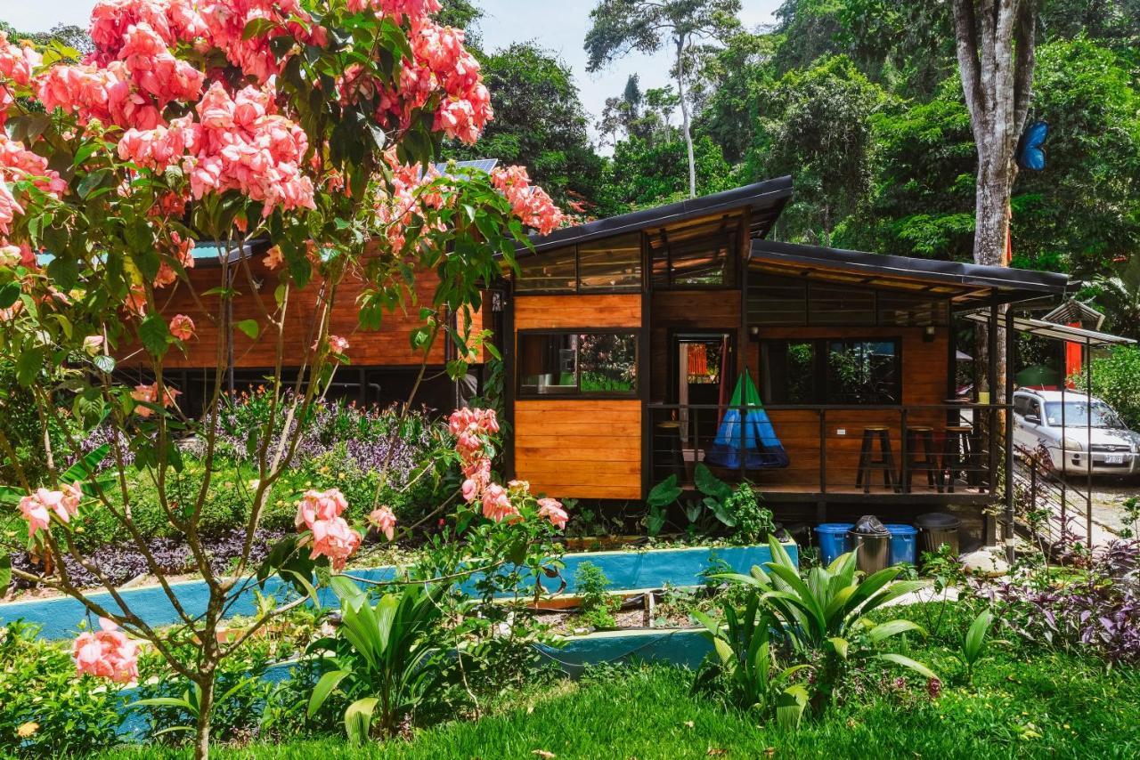 Апарт отель Selva Madre Eco-Sanctuary Кауита Экстерьер фото
