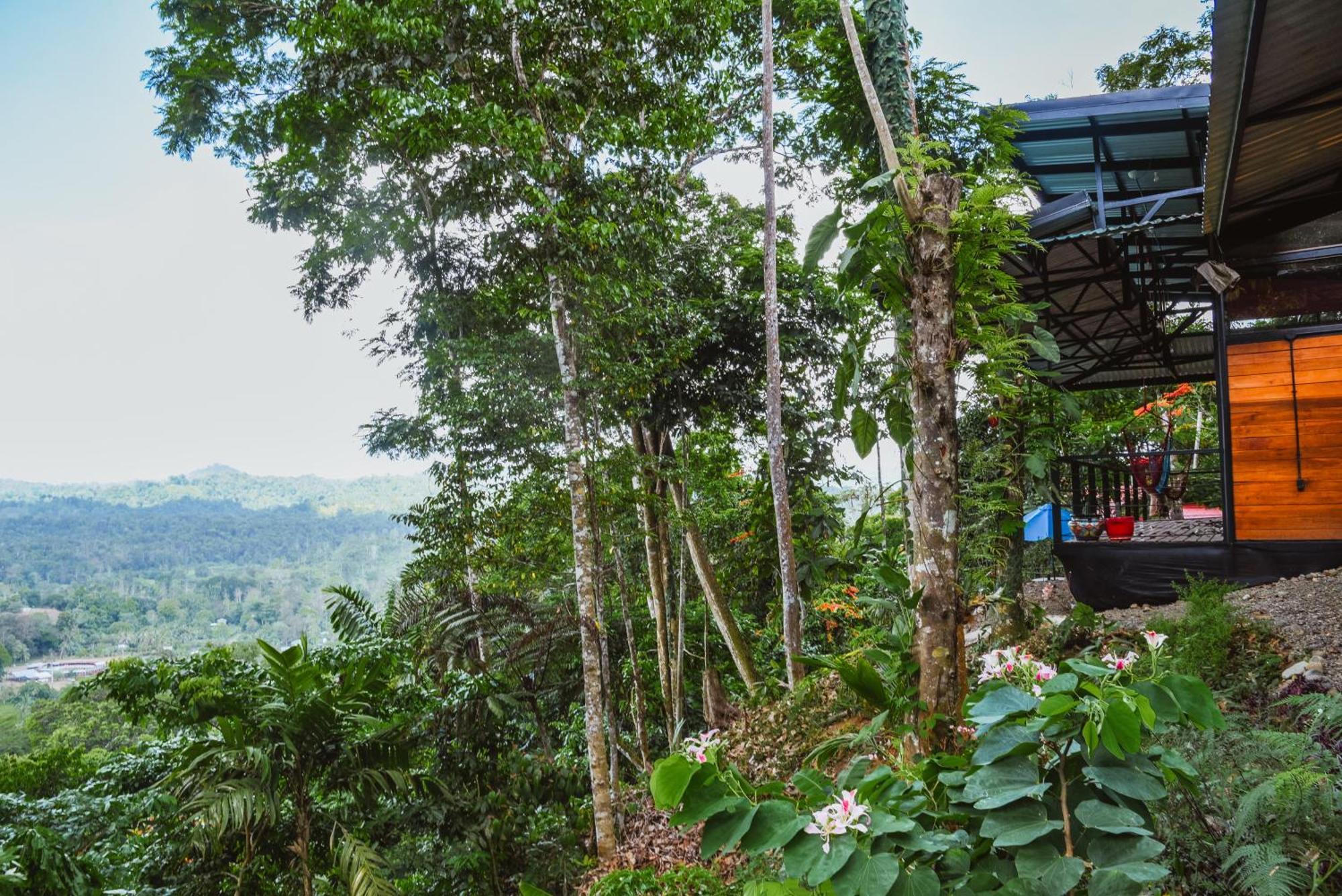 Апарт отель Selva Madre Eco-Sanctuary Кауита Экстерьер фото