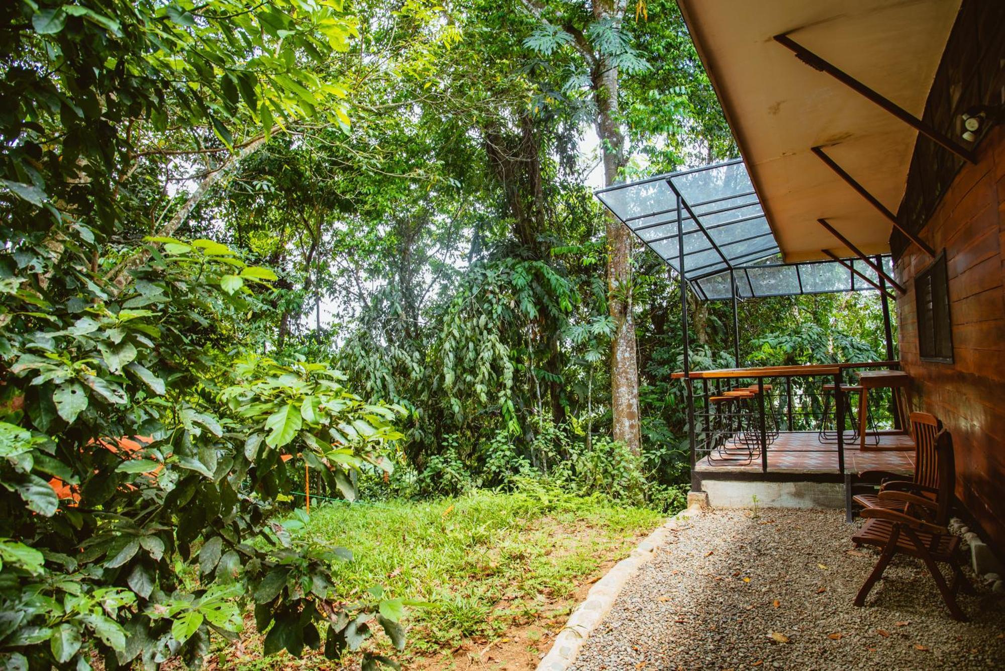 Апарт отель Selva Madre Eco-Sanctuary Кауита Экстерьер фото