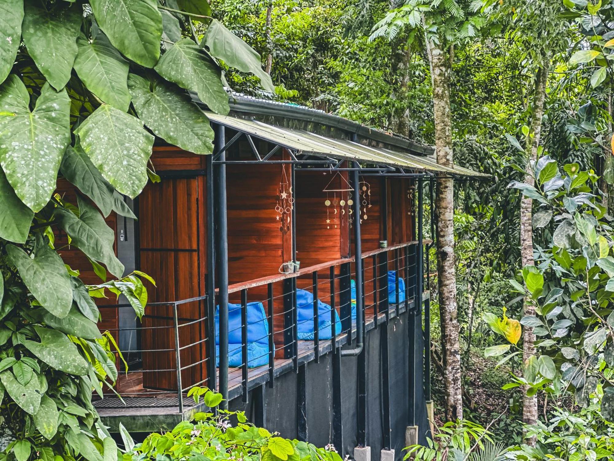 Апарт отель Selva Madre Eco-Sanctuary Кауита Экстерьер фото