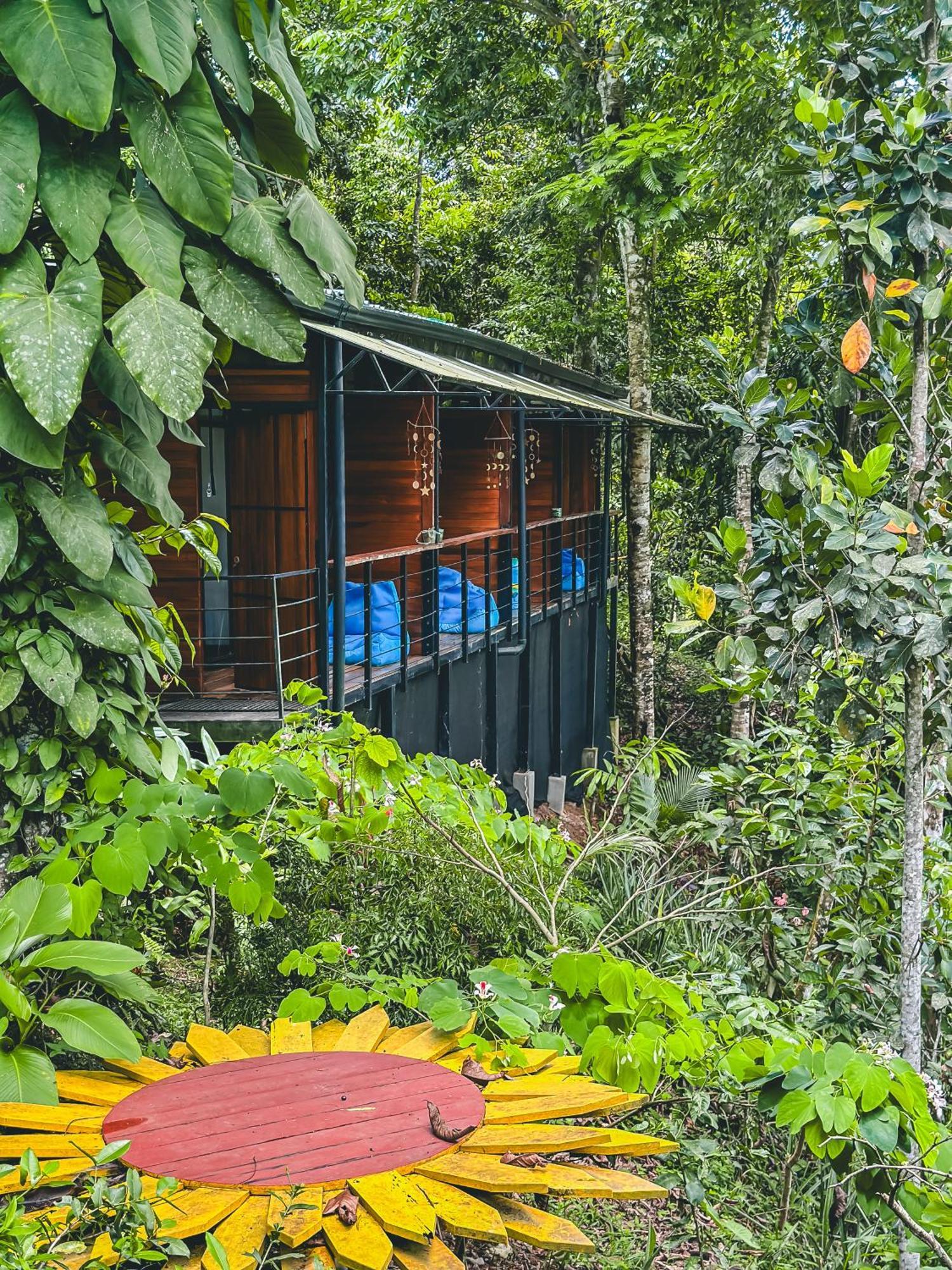 Апарт отель Selva Madre Eco-Sanctuary Кауита Экстерьер фото